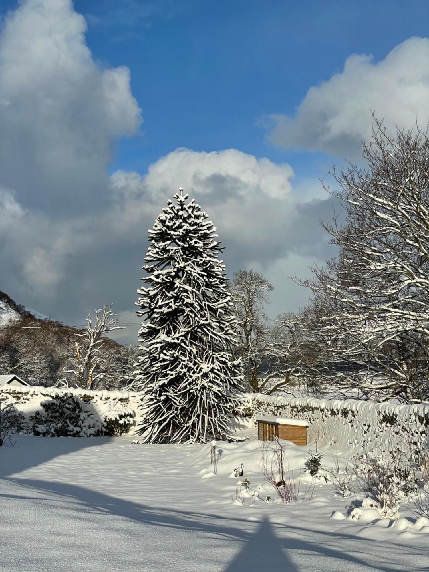 Clachan Garden B&B Garve Exteriér fotografie