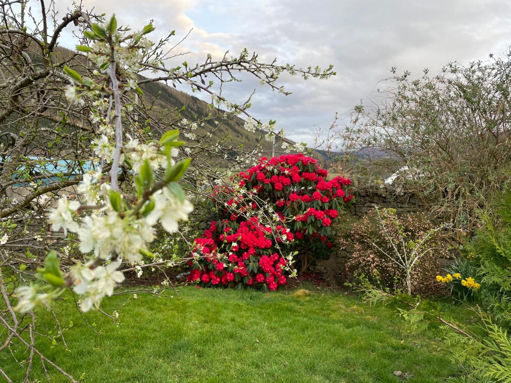 Clachan Garden B&B Garve Exteriér fotografie